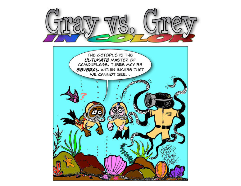 Gray vs. Gray in Color Scuba Dives